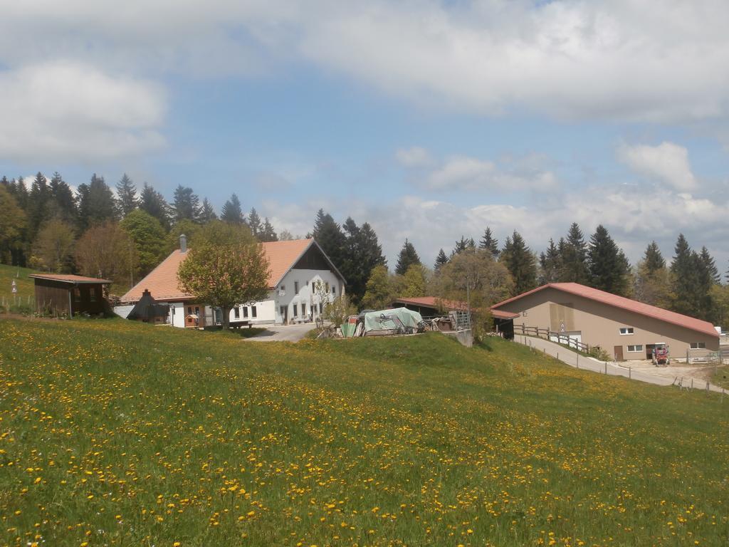 B&B La Ferme De Pouillerel La Chaux De Fonds Екстериор снимка